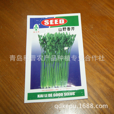 蔬菜種子、種苗-廠(chǎng)家供應(yīng)優(yōu)質(zhì)香芹種子 高產(chǎn)芹菜種子【圖】-蔬菜種子、種苗盡在.